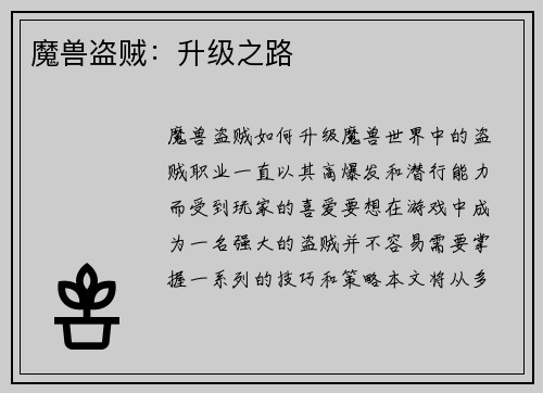 魔兽盗贼：升级之路